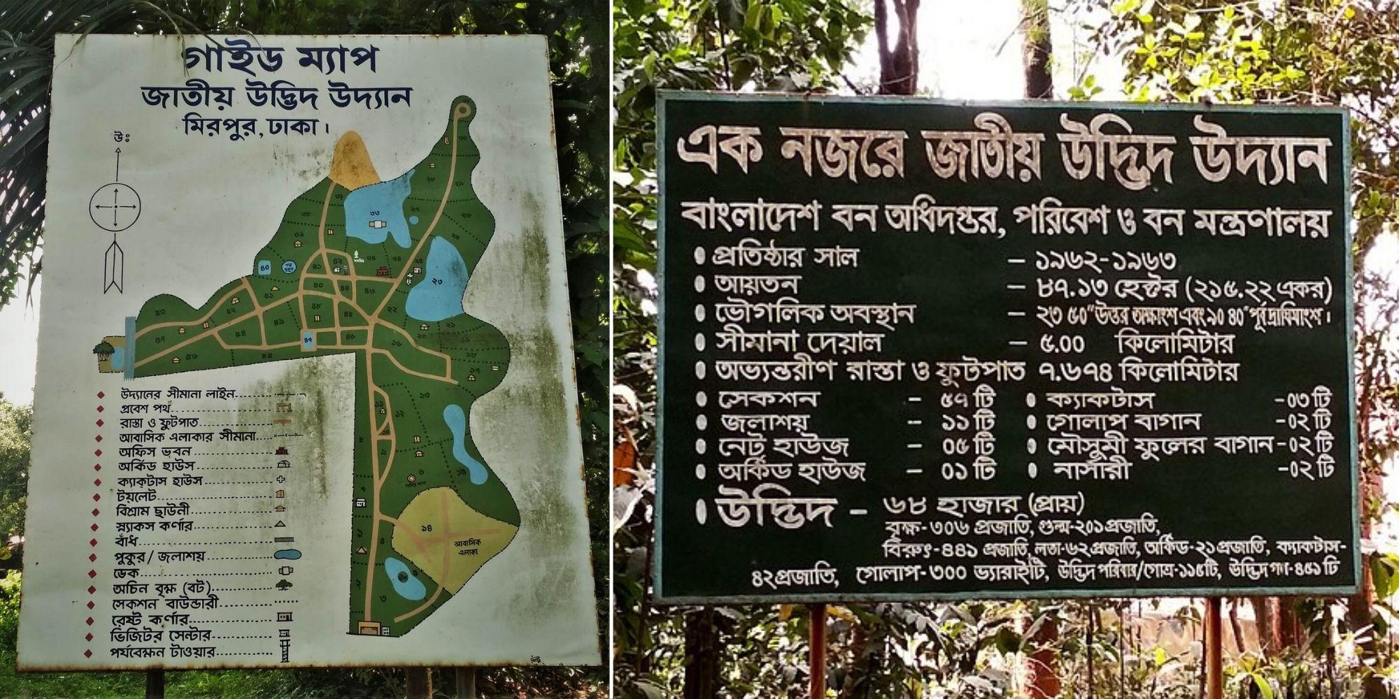বোটানিক্যাল গার্ডেন : কনক্রিটের নগরে প্রকৃতির নীড়
